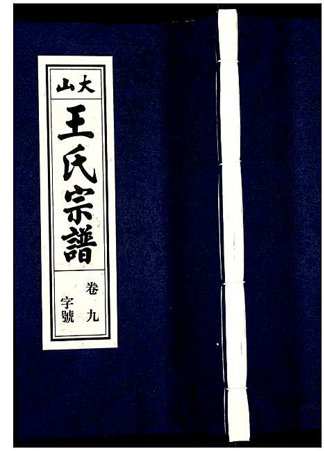 [王]王氏宗谱 (安徽) 王氏家谱_十.pdf