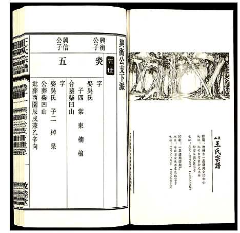 [王]王氏宗谱 (安徽) 王氏家谱_十三.pdf