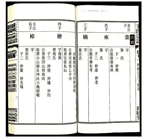 [王]王氏宗谱 (安徽) 王氏家谱_十三.pdf