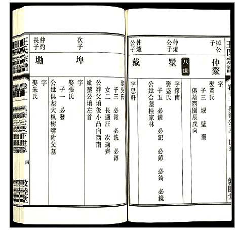 [王]王氏宗谱 (安徽) 王氏家谱_十三.pdf