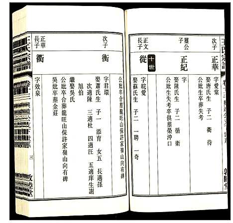 [王]王氏宗谱 (安徽) 王氏家谱_十五.pdf