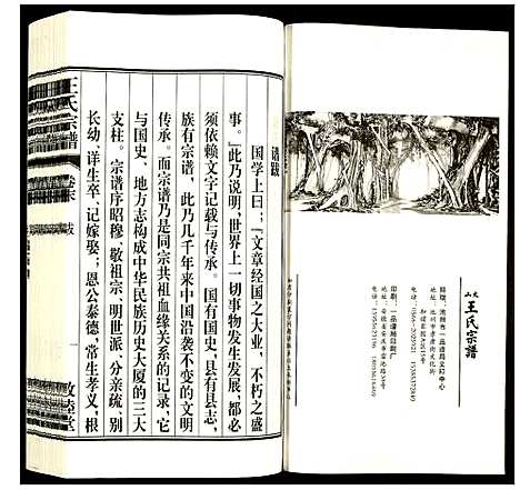 [王]王氏宗谱 (安徽) 王氏家谱_二十九.pdf