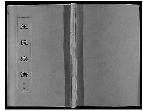 [王]王氏宗谱_12卷首2卷 (安徽) 王氏家谱_八.pdf