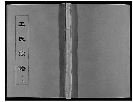 [王]王氏宗谱_12卷首2卷 (安徽) 王氏家谱_九.pdf