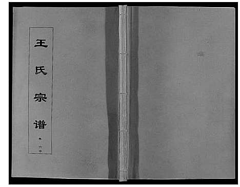 [王]王氏宗谱_12卷首2卷 (安徽) 王氏家谱_十二.pdf