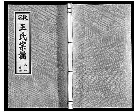 [王]王氏宗谱_18卷首末各1卷 (安徽) 王氏家谱_二.pdf