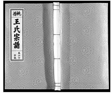 [王]王氏宗谱_18卷首末各1卷 (安徽) 王氏家谱_八.pdf