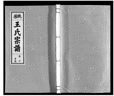 [王]王氏宗谱_18卷首末各1卷 (安徽) 王氏家谱_十二.pdf