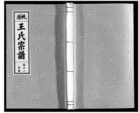 [王]王氏宗谱_18卷首末各1卷 (安徽) 王氏家谱_十三.pdf