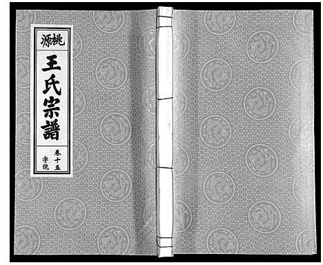 [王]王氏宗谱_18卷首末各1卷 (安徽) 王氏家谱_十七.pdf