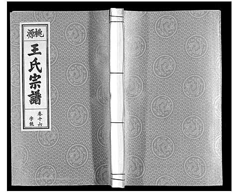 [王]王氏宗谱_18卷首末各1卷 (安徽) 王氏家谱_十八.pdf