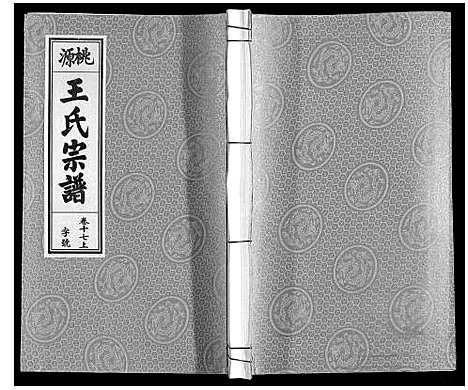 [王]王氏宗谱_18卷首末各1卷 (安徽) 王氏家谱_十九.pdf