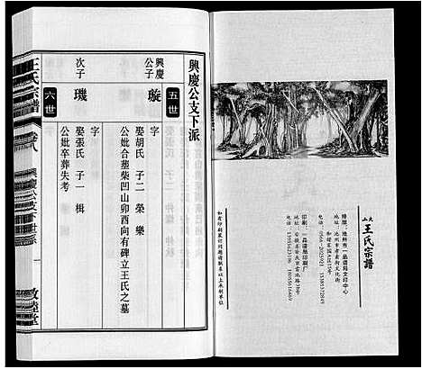 [王]王氏宗谱_23卷末1卷 (安徽) 王氏家谱_九.pdf