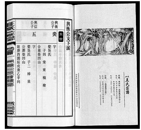 [王]王氏宗谱_23卷末1卷 (安徽) 王氏家谱_十三.pdf