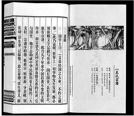 [王]王氏宗谱_23卷末1卷 (安徽) 王氏家谱_二十九.pdf