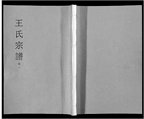 [王]王氏宗谱_32卷 (安徽) 王氏家谱_一.pdf