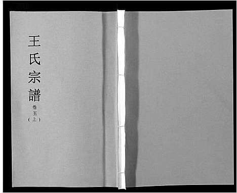 [王]王氏宗谱_32卷 (安徽) 王氏家谱_五.pdf