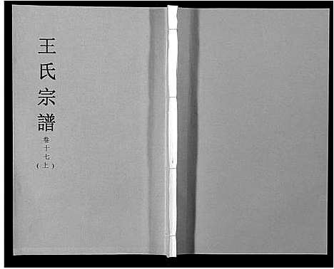 [王]王氏宗谱_32卷 (安徽) 王氏家谱_十九.pdf