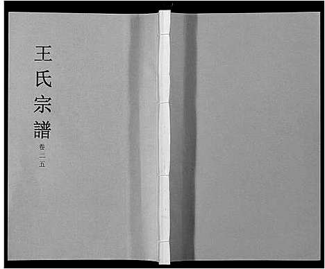 [王]王氏宗谱_32卷 (安徽) 王氏家谱_三十.pdf