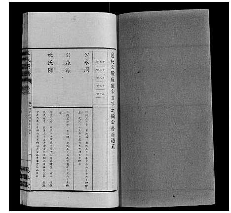 [王]王氏宗谱_34卷 (安徽) 王氏家谱_五.pdf