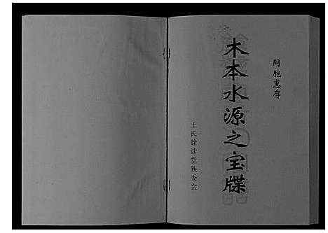 [王]王氏家谱_不分卷 (安徽) 王氏家谱.pdf