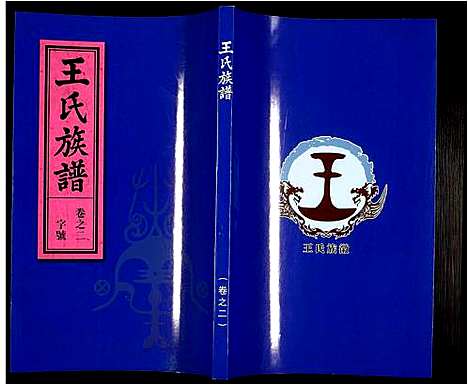 [王]王氏族谱 (安徽) 王氏家谱_二.pdf