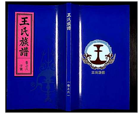 [王]王氏族谱 (安徽) 王氏家谱_六.pdf