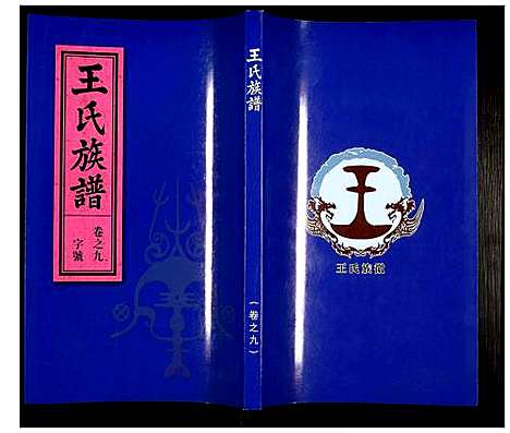 [王]王氏族谱 (安徽) 王氏家谱_九.pdf