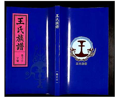 [王]王氏族谱 (安徽) 王氏家谱_十.pdf