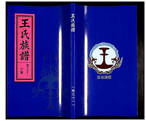 [王]王氏族谱 (安徽) 王氏家谱_十一.pdf