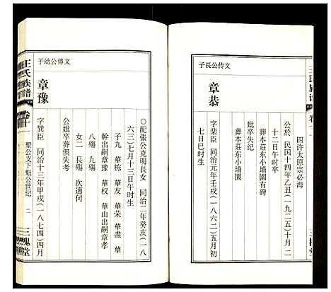 [王]王氏族谱 (安徽) 王氏家谱_十一.pdf