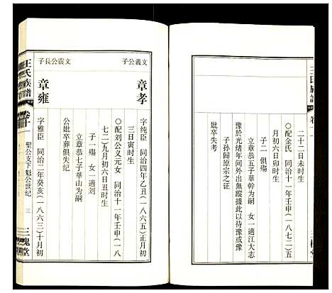 [王]王氏族谱 (安徽) 王氏家谱_十一.pdf