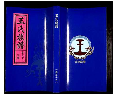 [王]王氏族谱 (安徽) 王氏家谱_十二.pdf