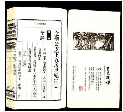 [王]王氏族谱 (安徽) 王氏家谱_十二.pdf