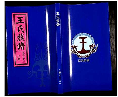 [王]王氏族谱 (安徽) 王氏家谱_十三.pdf