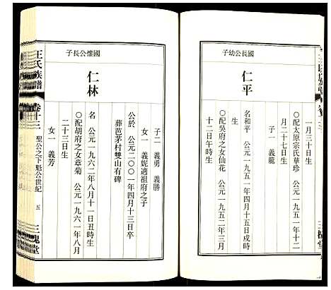 [王]王氏族谱 (安徽) 王氏家谱_十三.pdf