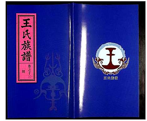 [王]王氏族谱 (安徽) 王氏家谱_十四.pdf