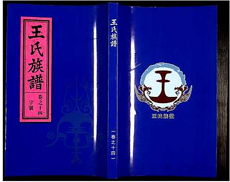 [王]王氏族谱 (安徽) 王氏家谱_十五.pdf