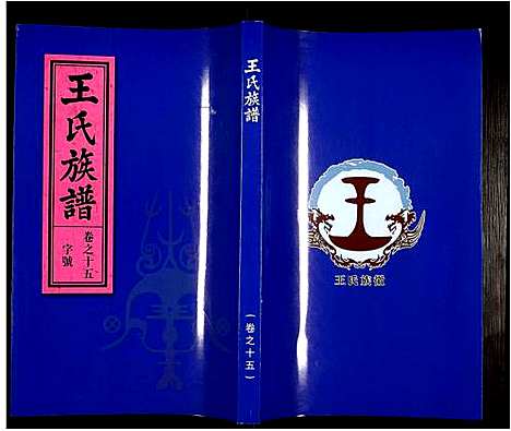 [王]王氏族谱 (安徽) 王氏家谱_十六.pdf