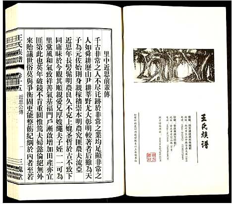 [王]王氏族谱 (安徽) 王氏家谱_十六.pdf