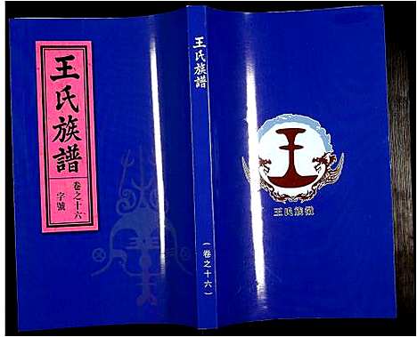 [王]王氏族谱 (安徽) 王氏家谱_十七.pdf