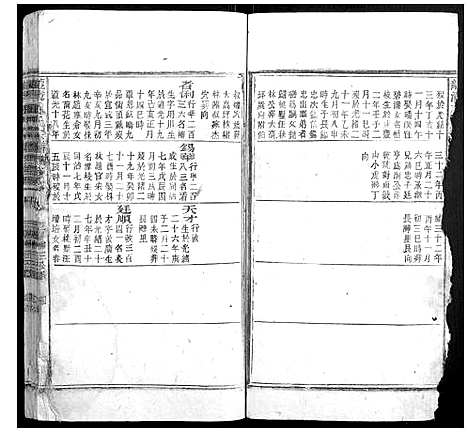 [王]龙湾王氏宗谱 (安徽) 龙湾王氏家谱_五.pdf