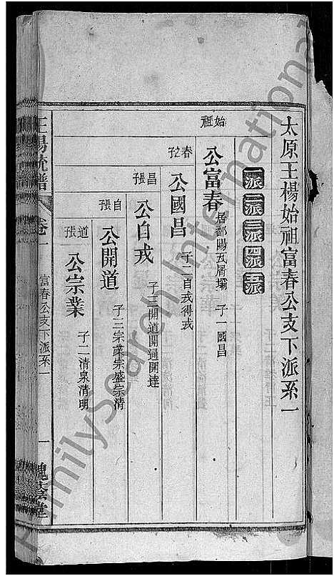 [王杨]王杨宗谱_43卷首末各2卷-太原王杨宗谱 (安徽) 王杨家谱_二.pdf