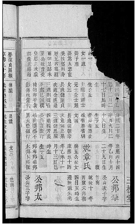 [王杨]王杨宗谱_43卷首末各2卷-太原王杨宗谱 (安徽) 王杨家谱_十一.pdf