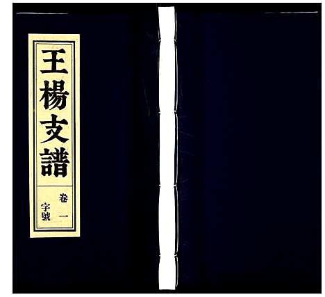 [王杨]王杨支谱 (安徽) 王杨支谱_一.pdf