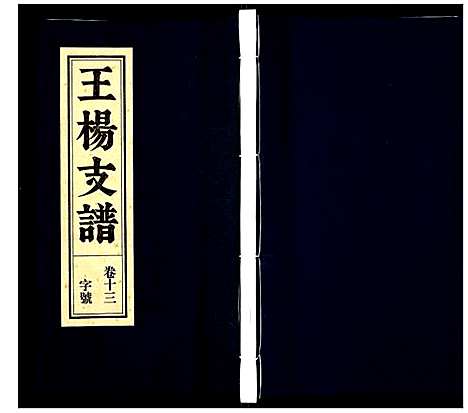 [王杨]王杨支谱 (安徽) 王杨支谱_六.pdf