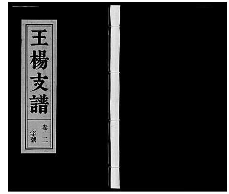 [王杨]王杨支谱_13卷首末各1卷 (安徽) 王杨支谱_二.pdf