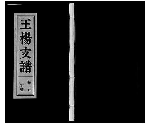 [王杨]王杨支谱_13卷首末各1卷 (安徽) 王杨支谱_五.pdf