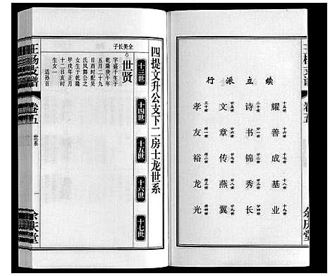 [王杨]王杨支谱_13卷首末各1卷 (安徽) 王杨支谱_五.pdf