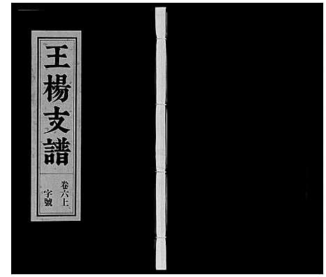 [王杨]王杨支谱_13卷首末各1卷 (安徽) 王杨支谱_六.pdf